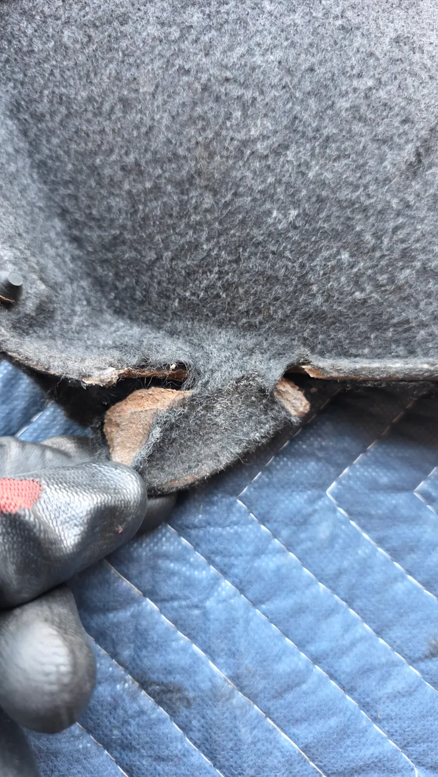 S13 Hatch Privacy Cover — photo 10